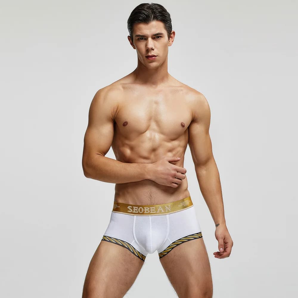 2025 Intimo da uomo in stile europeo e americano, intimo da uomo in cotone, boxer da uomo, intimo 00210