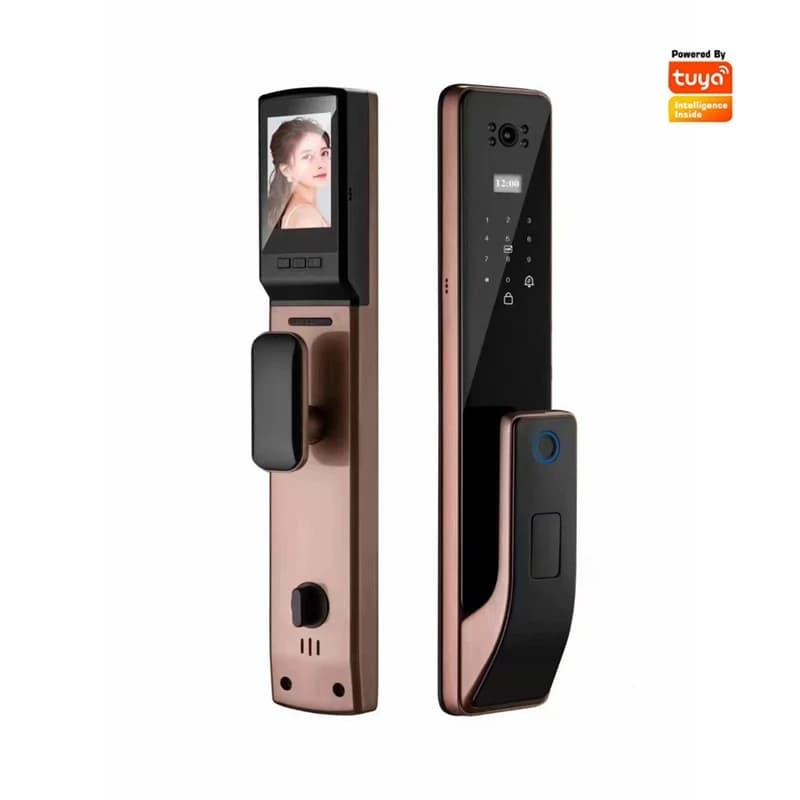 EGFirtor Tuya Wifi 3D riconoscimento facciale Fingerprint Smart Door Lock APP telecomando antifurto Home Digital Lock