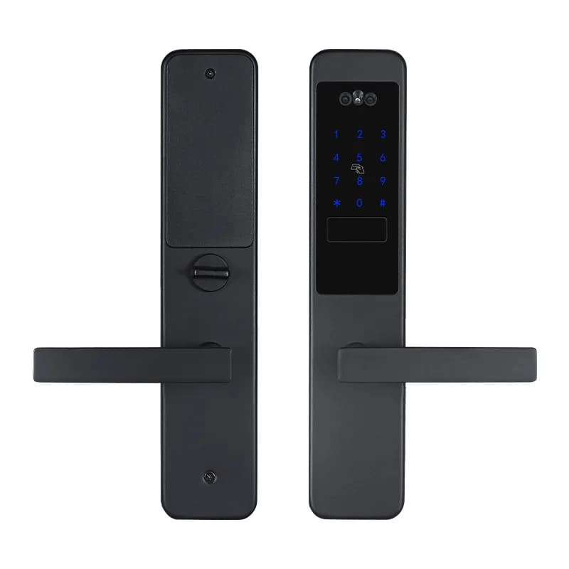 D29 Riconoscimento facciale 3D Sblocca serratura digitale con fotocamera Fingerprint Password Sblocca serratura elettronica biometrica senza chiave