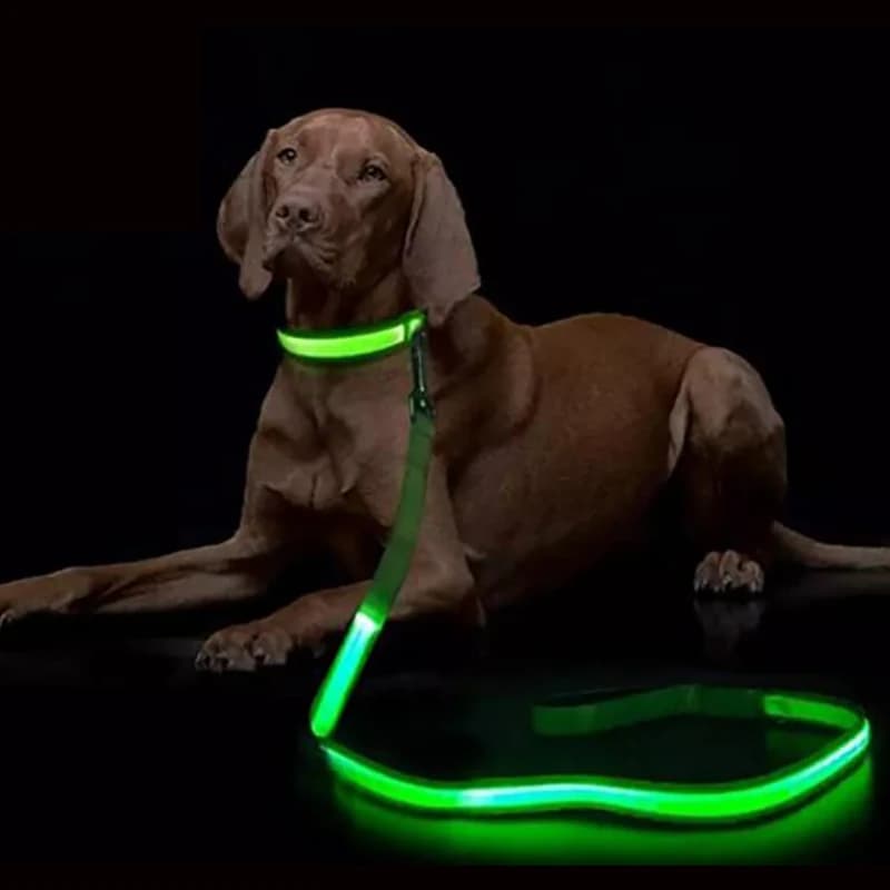 Guinzaglio per cani con illuminazione a LED Guinzaglio per corda luminosa Guinzaglio per collare per cani luminoso lampeggiante di sicurezza per cani Accessori elettronici per animali domestici