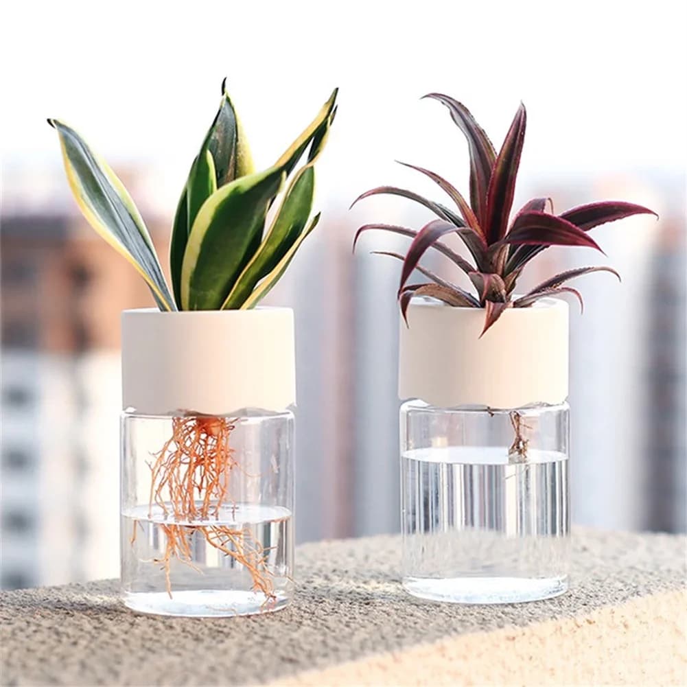 Pots for Hydroponic Plants Vase for Transparent Plant Plastic Jar Flower Jar with Elegant Container Home Desk Decorations Flower Jar