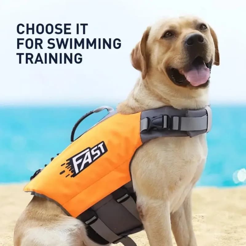 Gilet galleggiante per animali domestici Costume da bagno per cani di sicurezza Ripstop regolabile per addestramento estivo al surf sulla spiaggia Forniture essenziali per giubbotti di salvataggio per cani