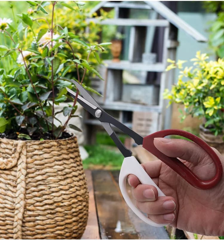 Tool for bonsai Scissors with long handle Shears for branches of gardening plants Tools for garden pruning