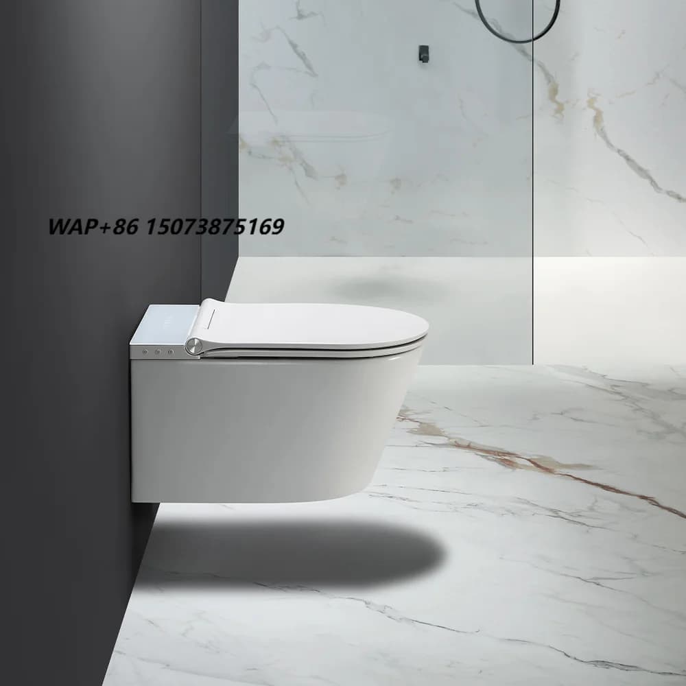 European Standard Comfort Height Bathroom Unit Sink Ceramic 1 Piece Elongated Bowl Smart Bidet Toilet