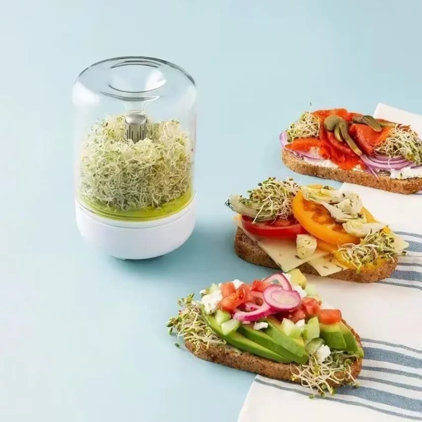 Sistema di germogliatura Contenitore per semi Kit barattolo di germogli Kit per coltivazione di germogli Bocca larga Riutilizzabile Cucina domestica Piante di fagioli