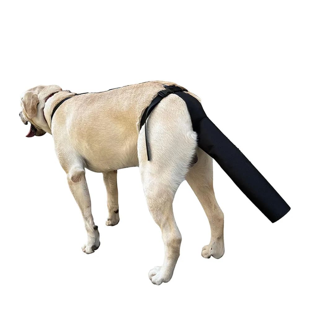 Copertura Protettiva per Coda di Cane, Trattamento Anti-Perdita di Pelo, Anti-Leccamento e Anti-Morso, Attrezzatura Protettiva Regolabile