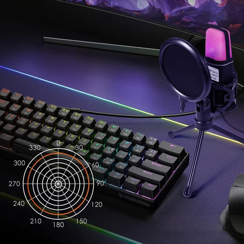 SF666R USB Microphone RGB Condenser Microphone Playground for Podcast Recording Studio Streaming Laptop Desktop PC