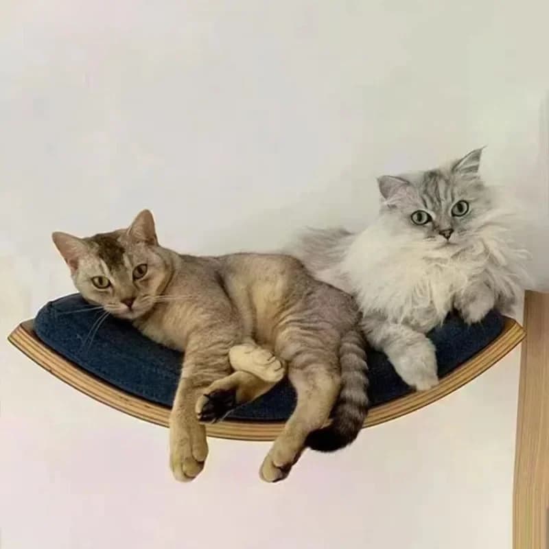 Struttura da arrampicata per gatti in legno massello Appeso a parete Nido per gatti Piattaforma per saltare per alberi per gatti Non facilmente deformabile Prodotti per mobili per animali domestici