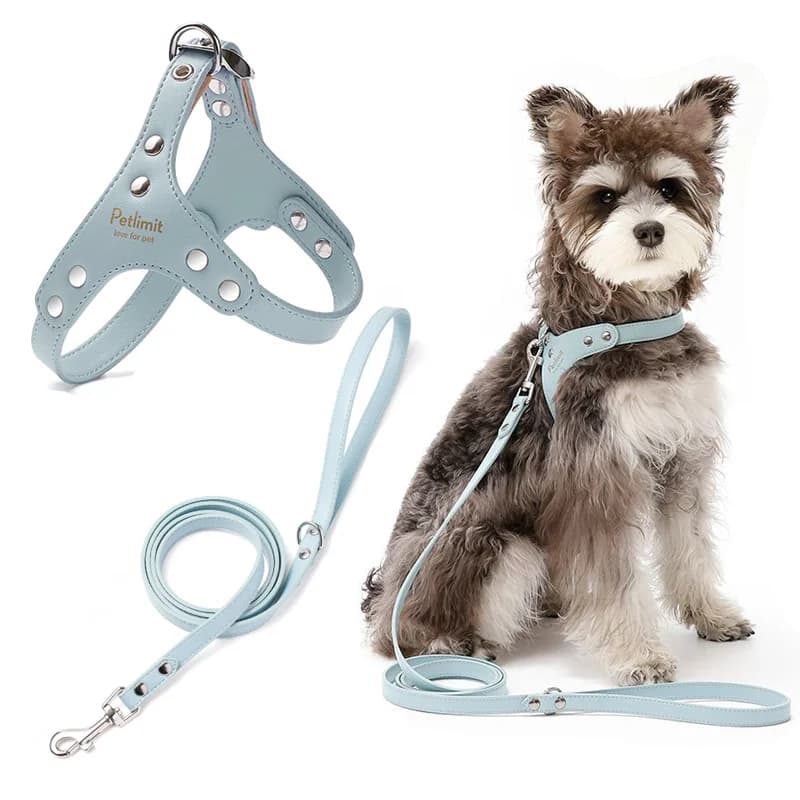 Premium Leather Dog Harness and Leash Set with Reinforced Rivets for Small Dogs - Durable Pet Harness Vest Dog Leash