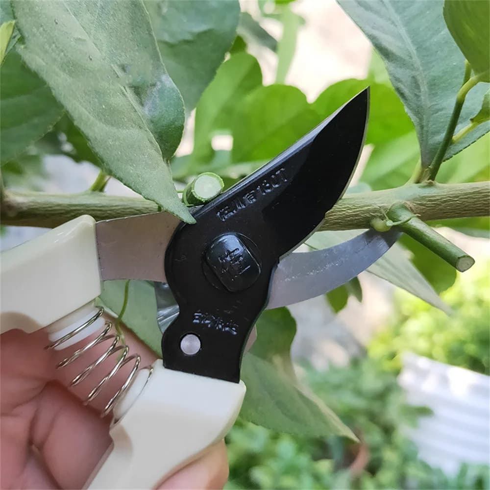 Power Planter Frutteto and Garden Hand Tools Bonsai for Scissors Gardening Machine Chopper Shearing shears Professional Deputies