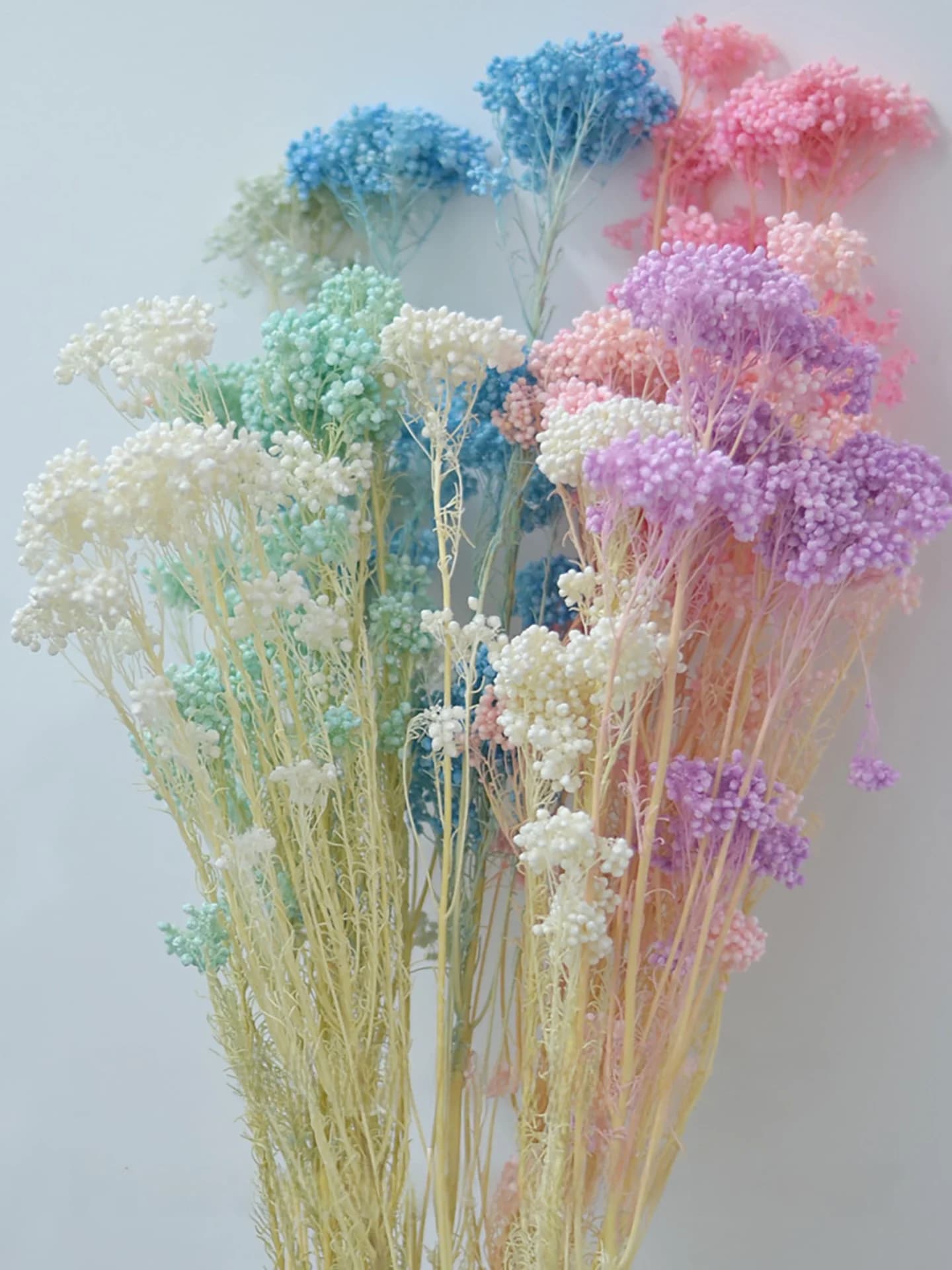l Bouquet of dried rice flowers Mixed flowers House decoration Living room Frame for hand-made photo Artistic material Head of seeds of Suower