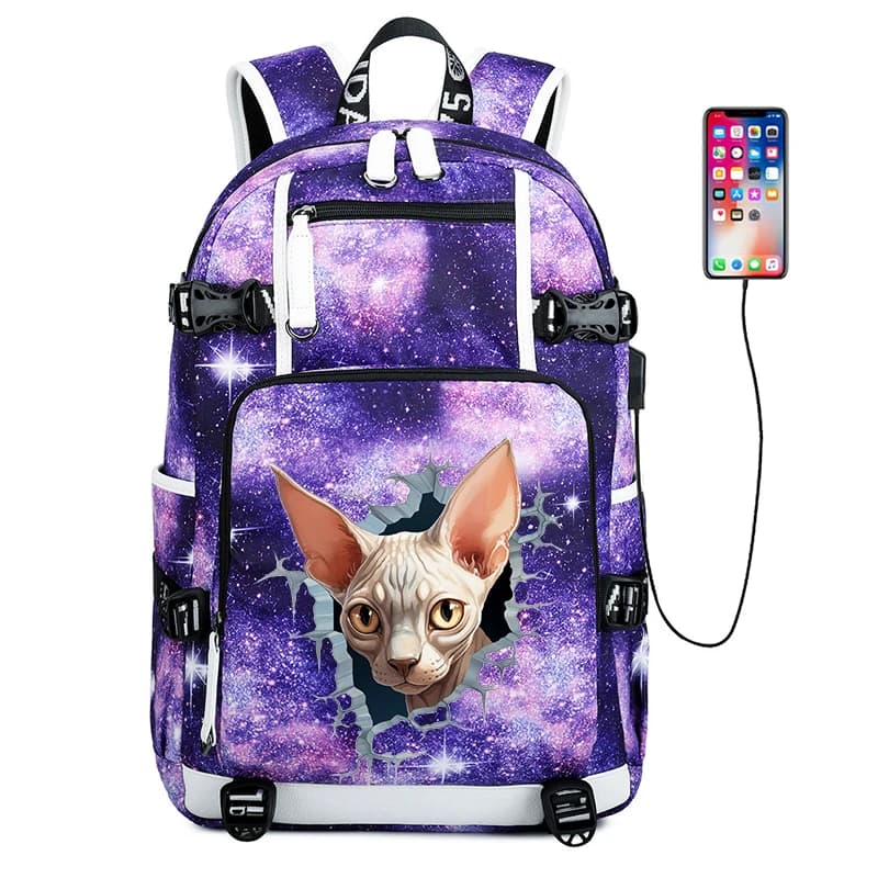 Zaino da scuola per cartoni animati 3D Sphynx Cat Zaino per adolescenti Zaino da 15,6 pollici Borsa da libro maschile Ritorno a scuola Bagpack regalo