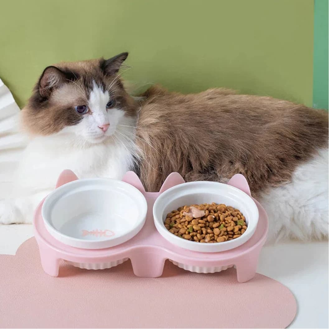 Pet ceramic feeding bowl, double bowl, inclined angle to hold food and water, protect the cat's cervical spine.