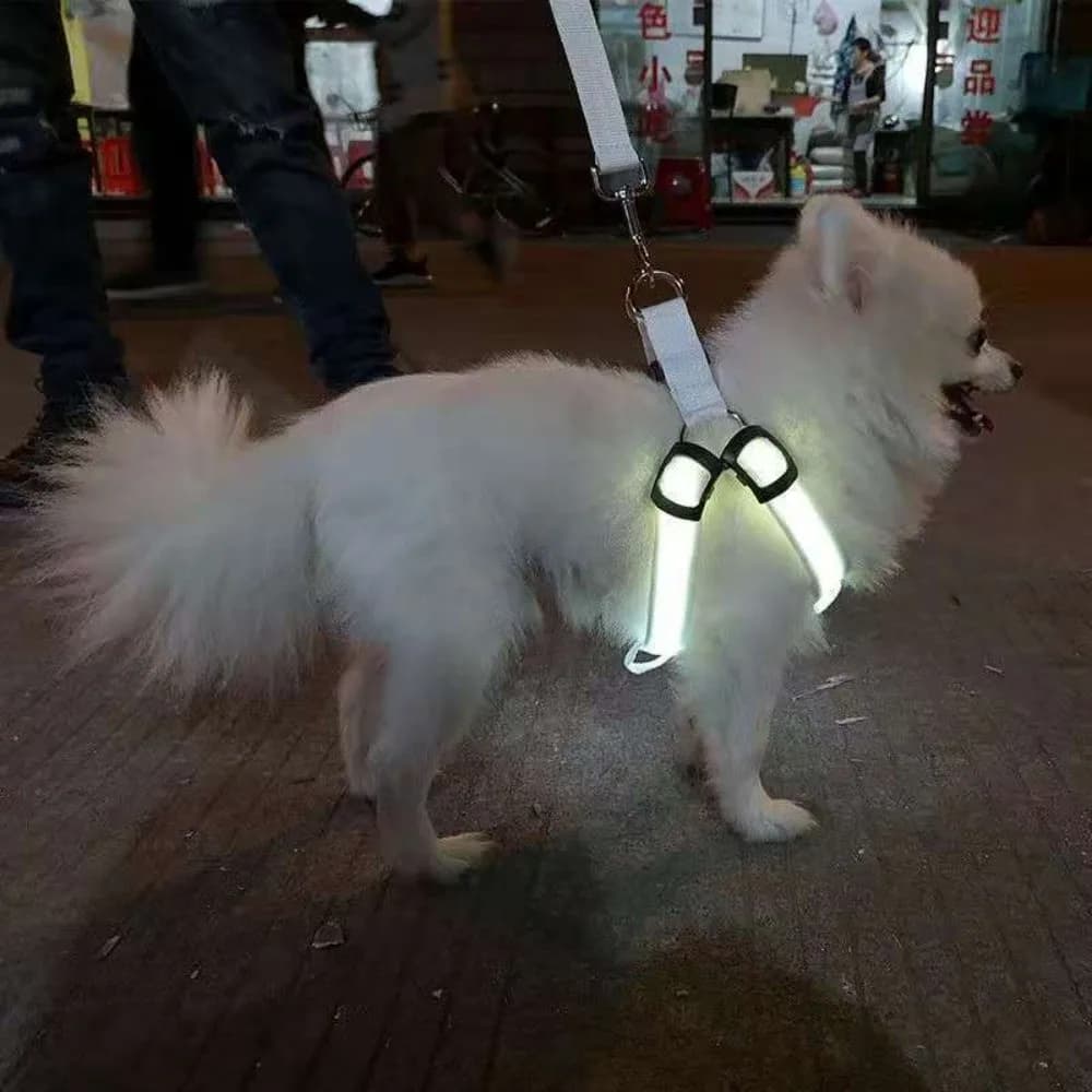 Pettorina per Cani LED Luminosa Ricaricabile Regolabile, Cinghia Toracica Luminosa per Animali Domestici, Gilet Lampeggiante Morbido per Passeggiate Notturne