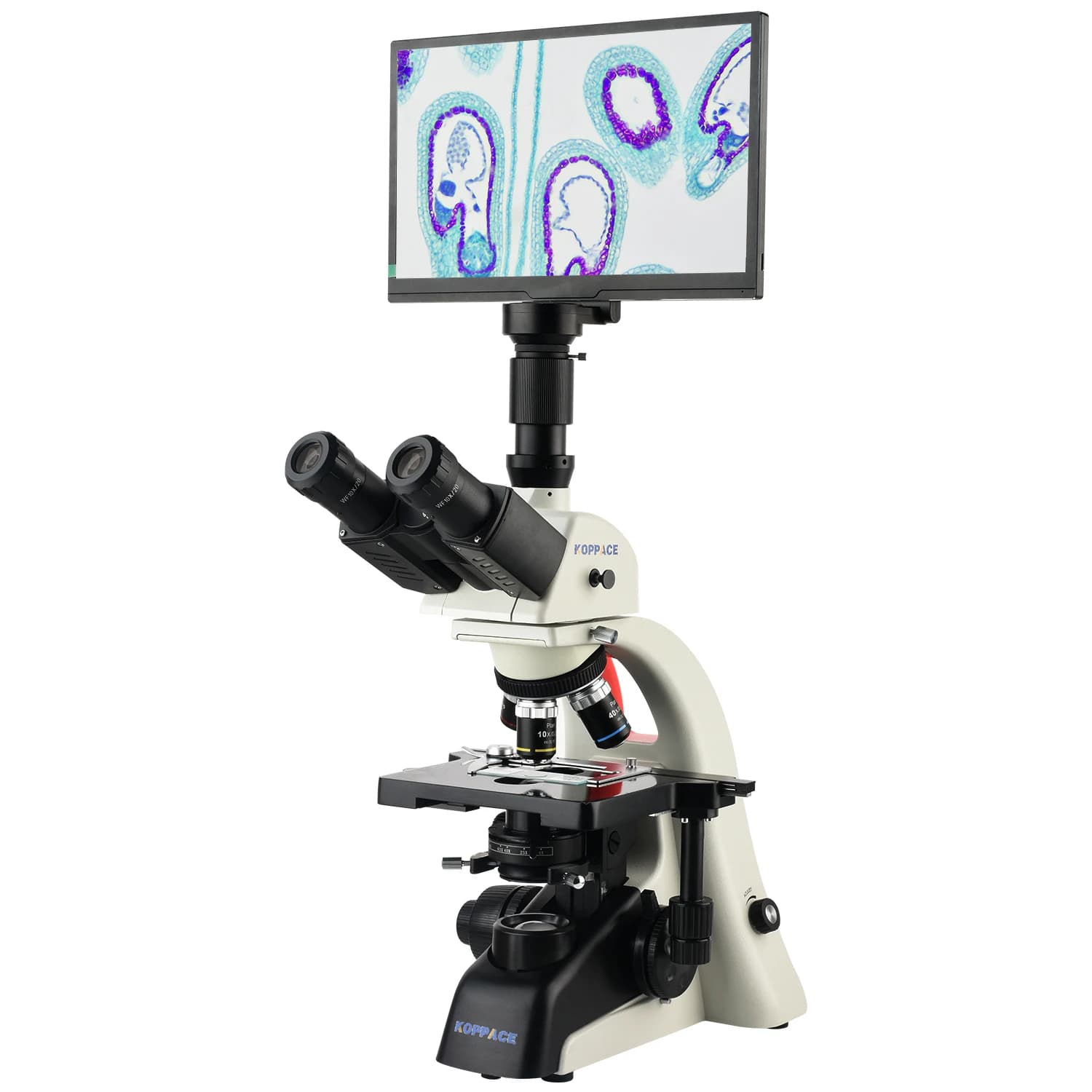 Microscopio Composto Elettronico da Laboratorio KOPPACE 40X-1600X con 5 Milioni di Pixel e Display HD da 11,6 Pollici