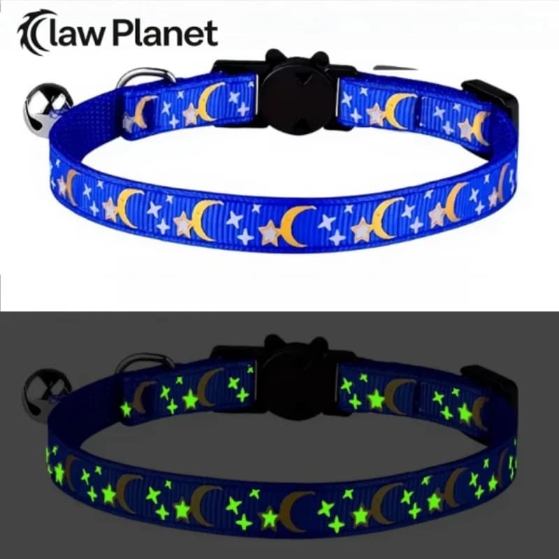 Pet Collar Cat Dog Gold Color Stars and Moon Pet Collar with Bell and PP Material Separate Luminescence Safety Buckle Solid Safe
