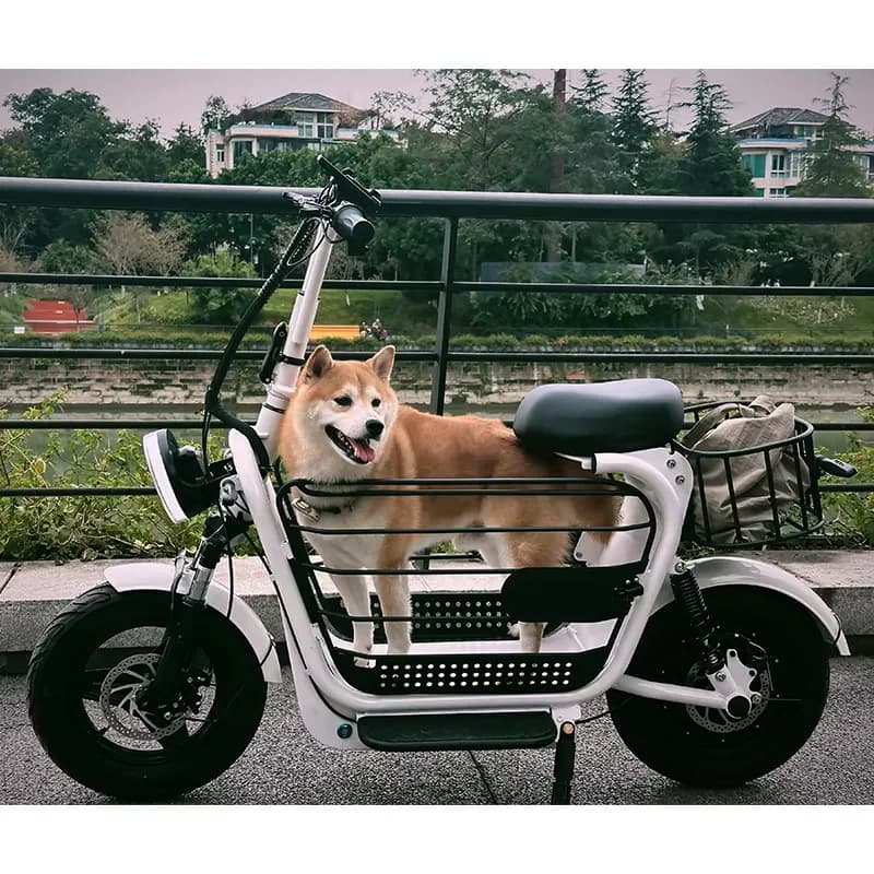 Scooter Elettrico a 3 Posti con Doppio Motore 48V 1000W 20Ah per Trasporto Animali Domestici, Bici Elettrica con Cestino