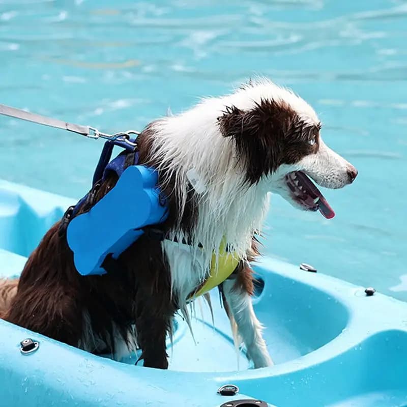 Giubbotto di salvataggio per cani Giubbotto di sicurezza per nuoto per cuccioli Preservatore di salvataggio regolabile con manico di salvataggio Cappotto galleggiante riflettente per piccole e medie