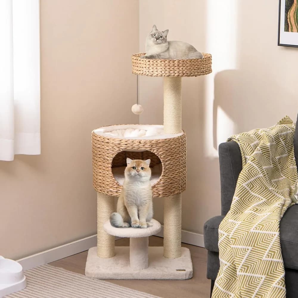 Albero per Gatti Moderno da 41 Pollici per Interni, Albero Multilivello per Gatti Piccoli con Tiragraffi in Sisal, Piattaforma Superiore in Cattail, Personalizzabile