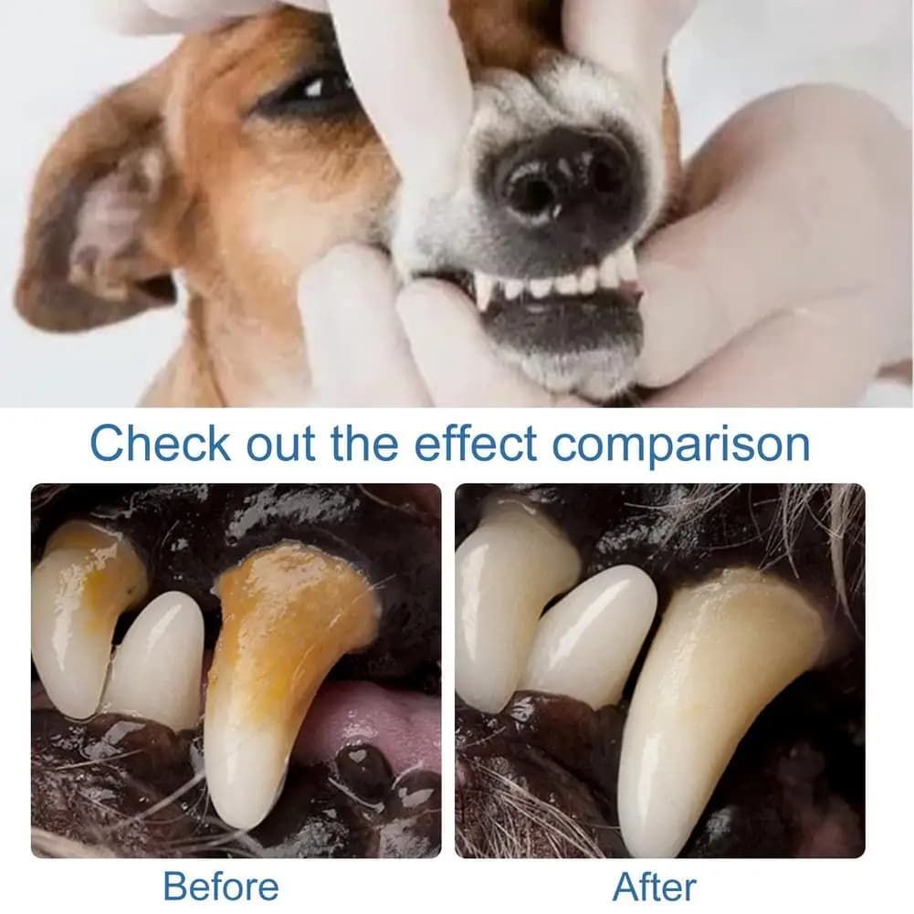 Pet Mouth Tartar Remover For Dogs Natural Dental Care Solution Foam Control Tarter Plaques Clean Teeth Without Brush Prevent
