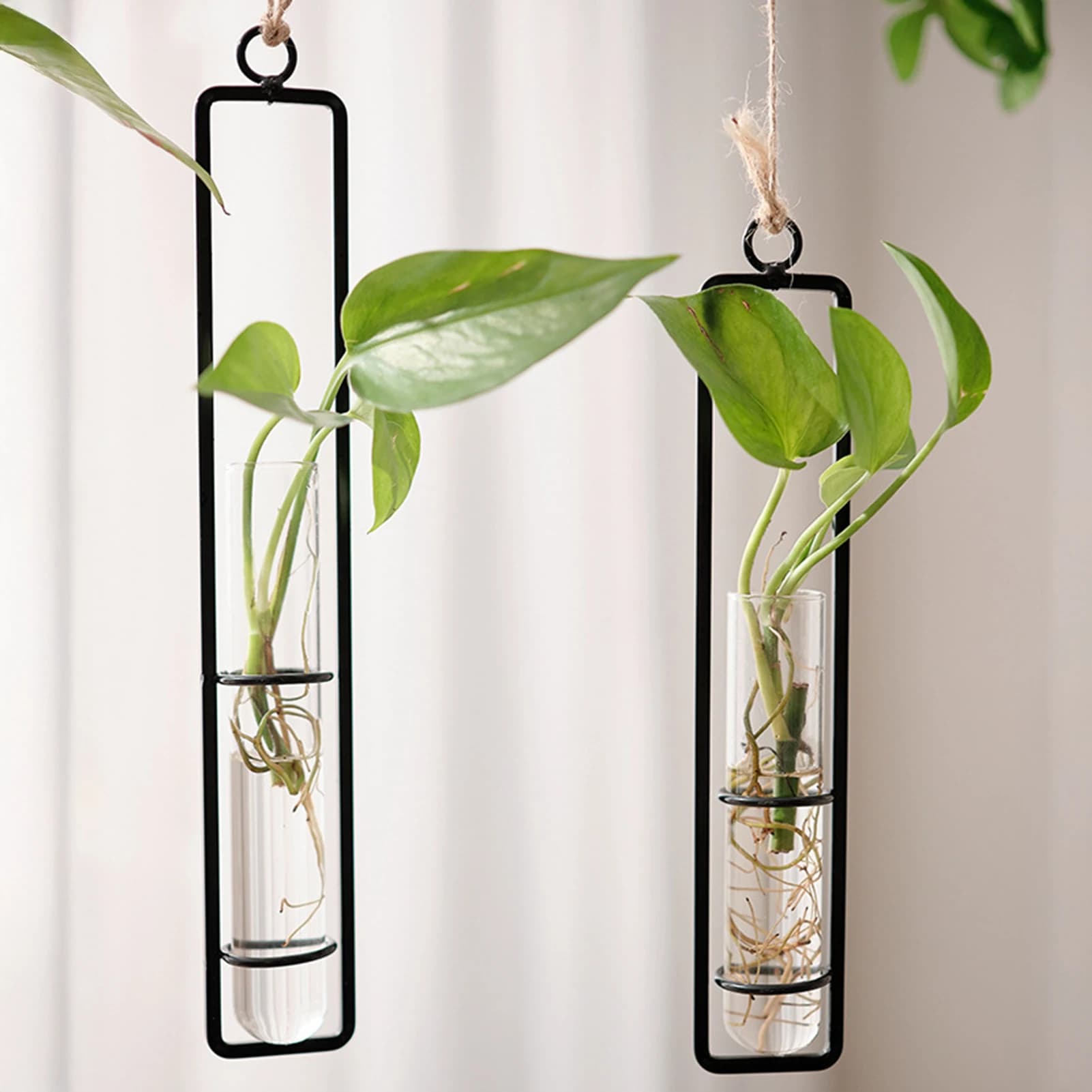 Vaso in vetro da appendere alla parete in stile europeo per piante, arredamento creativo per soggiorno, contenitore per l'acqua, decorazione da parete Pothos, 16 cm