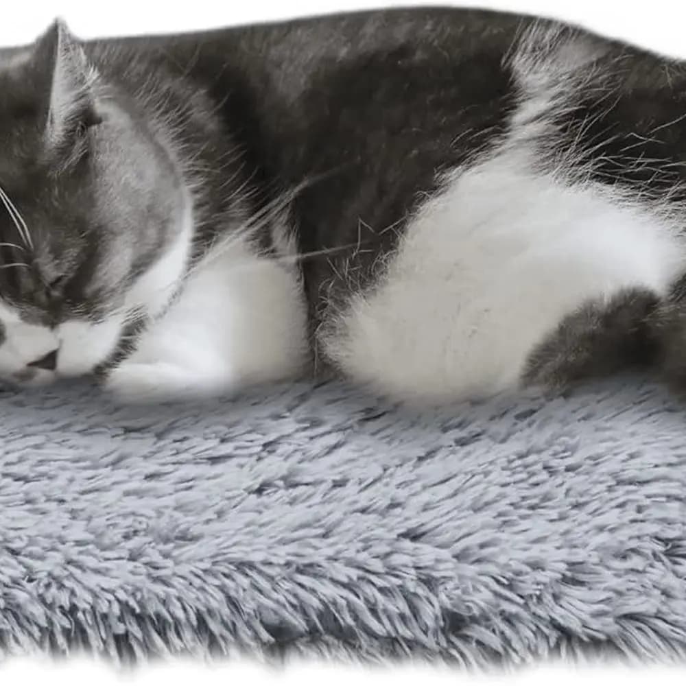 Tappetino per gatti autoriscaldante, coperta termica antiscivolo per gatti interni ed esterni, tappetino isolante lavabile per casetta per gatti o trasportino, 2