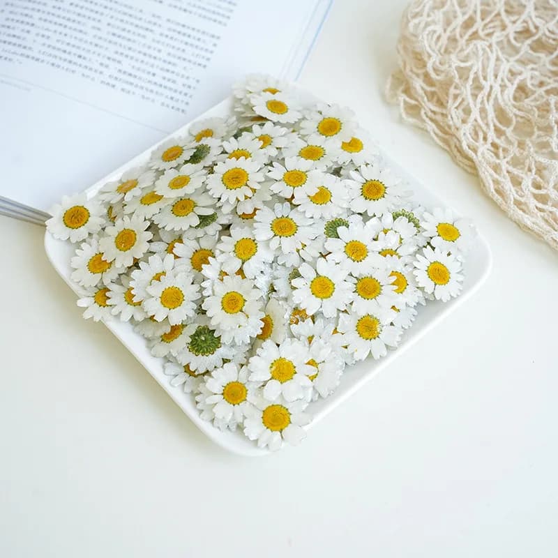 5pcs Resin-Dipped Daisy DIY Earring Materials Small Daisy Real Flowers Resin-Dipped Jewellery Eyelet Stud Accessories Home Decor