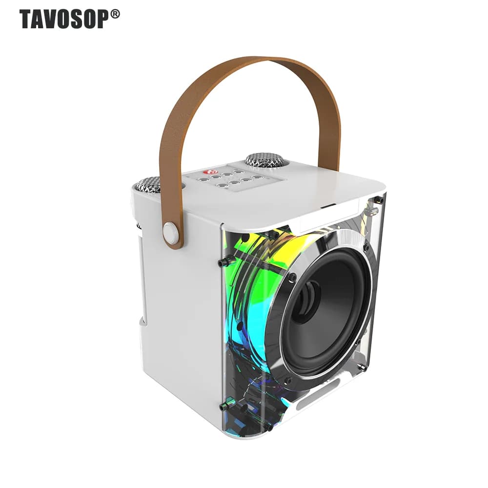 Set Karaoke Portatile con Effetti di Illuminazione RGB, Subwoofer Stereo, Supporto per Telefono e Microfono Wireless