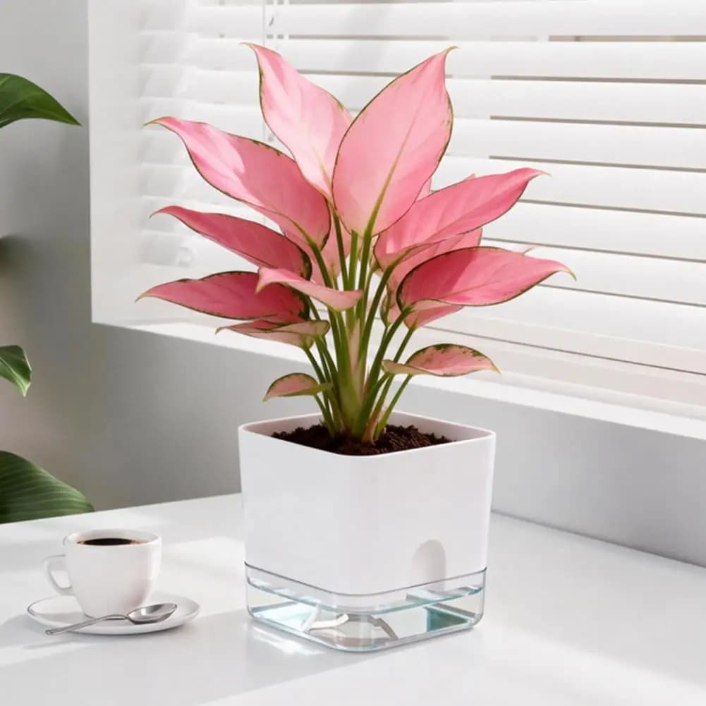 Vaso per Piante con Sistema di Auto-Irrigazione e Serbatoio, Moderno Vaso Quadrato per Piante da Interno, Vaso in Plastica da Tavolo