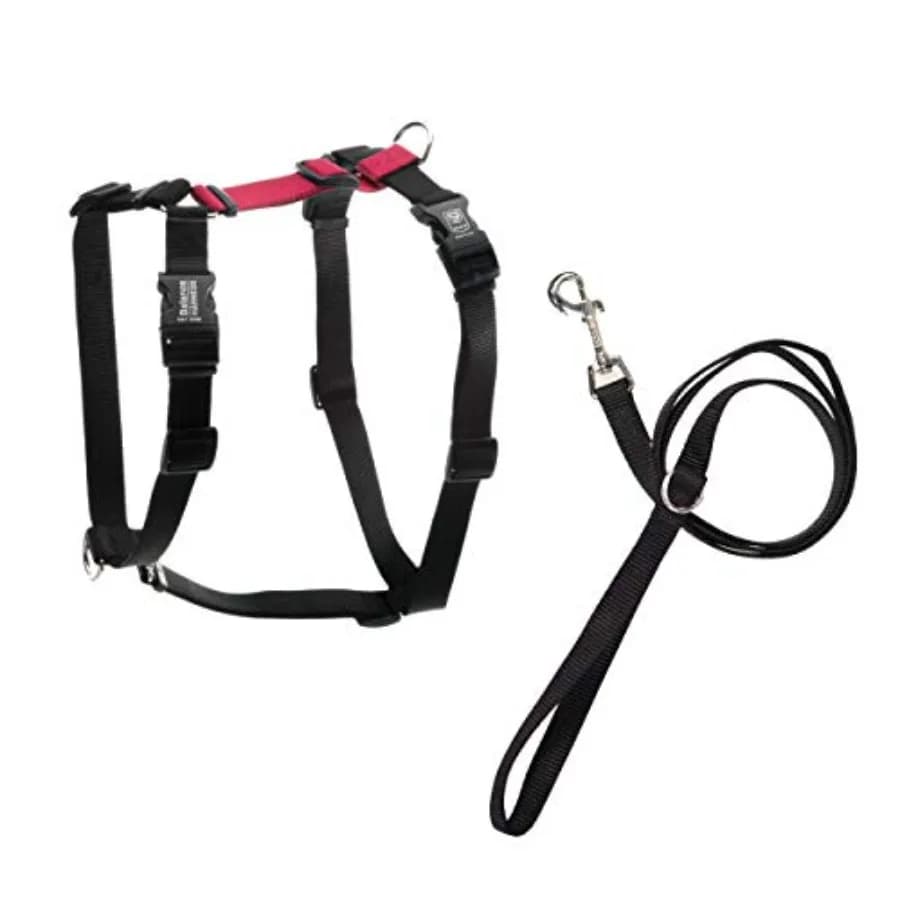 Set da passeggio per cani con imbracatura anti-trazione e guinzaglio morbido, prodotto negli Stati Uniti.