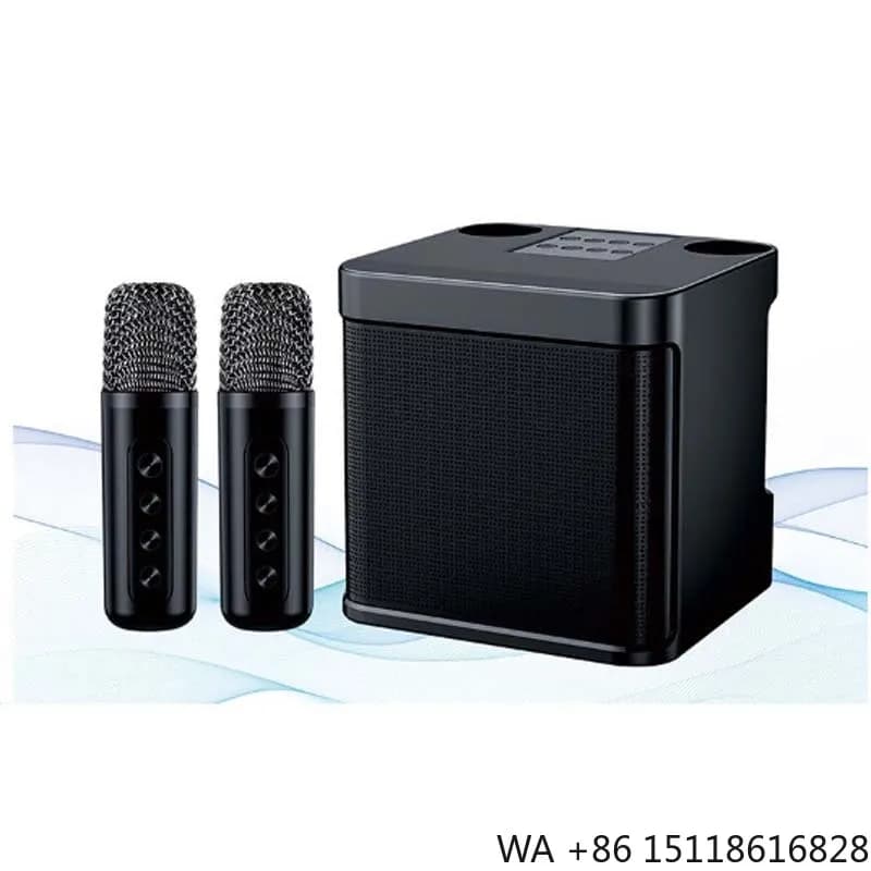 Ktv Stereo Karaoke Machine Portable Karaoke Speaker for Adults and Kids With 2 Wireless Microphones