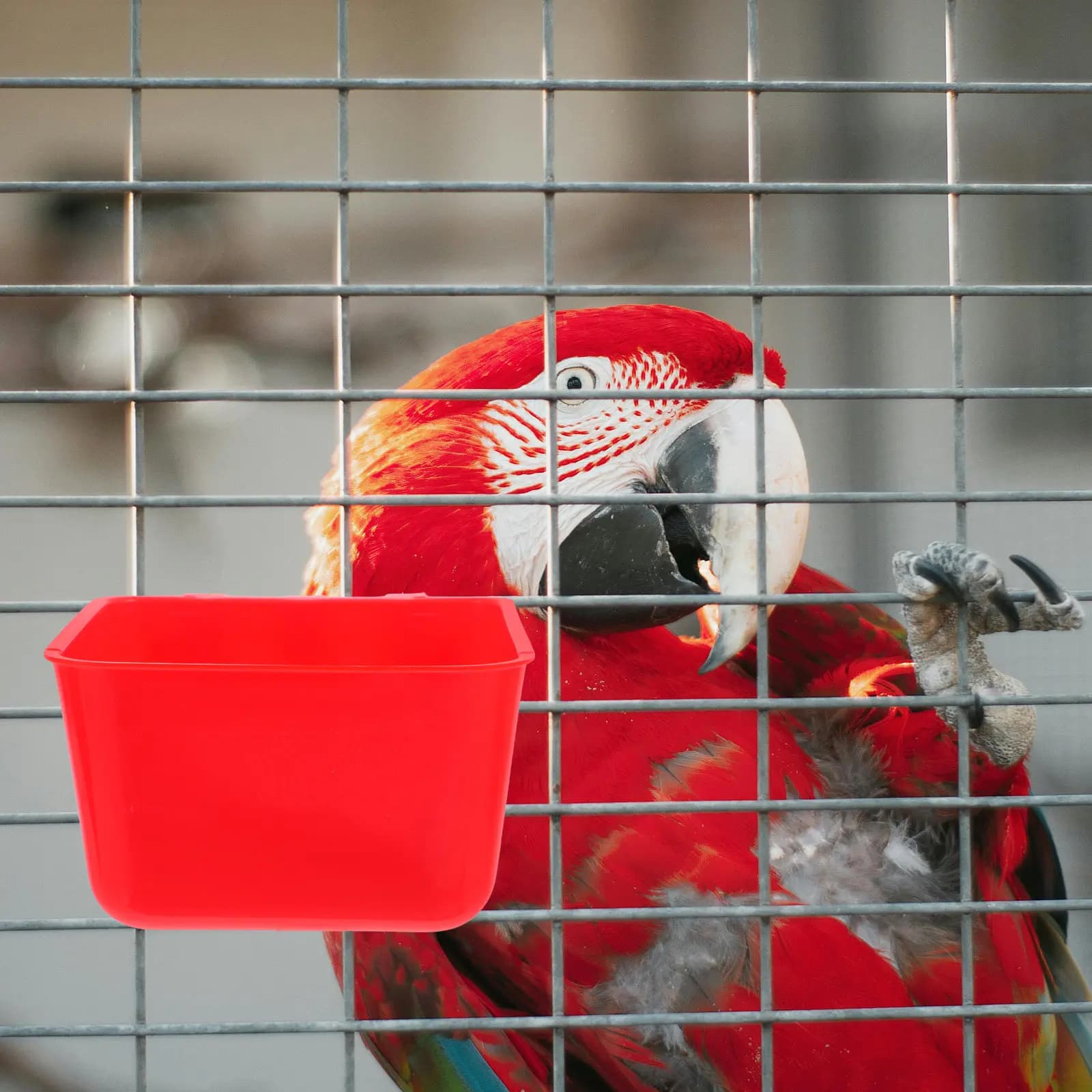 4pcs Cage Bowls Chicken Pet Bird Bowls For Cage Rabbit Food Waterer Durable Thickened 12 5x9 5x6 CM Portable Installation
