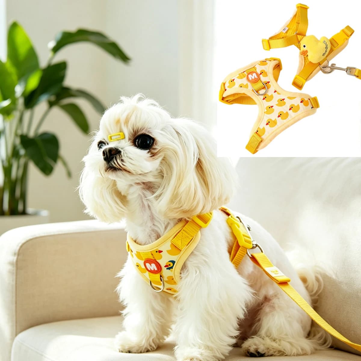 Small Puppy Harness and Leash Set Harnesses for Dogs Strap Dog Collar Tow Anti-escape Supplies Chest Breeds Accessories Vest Pet
