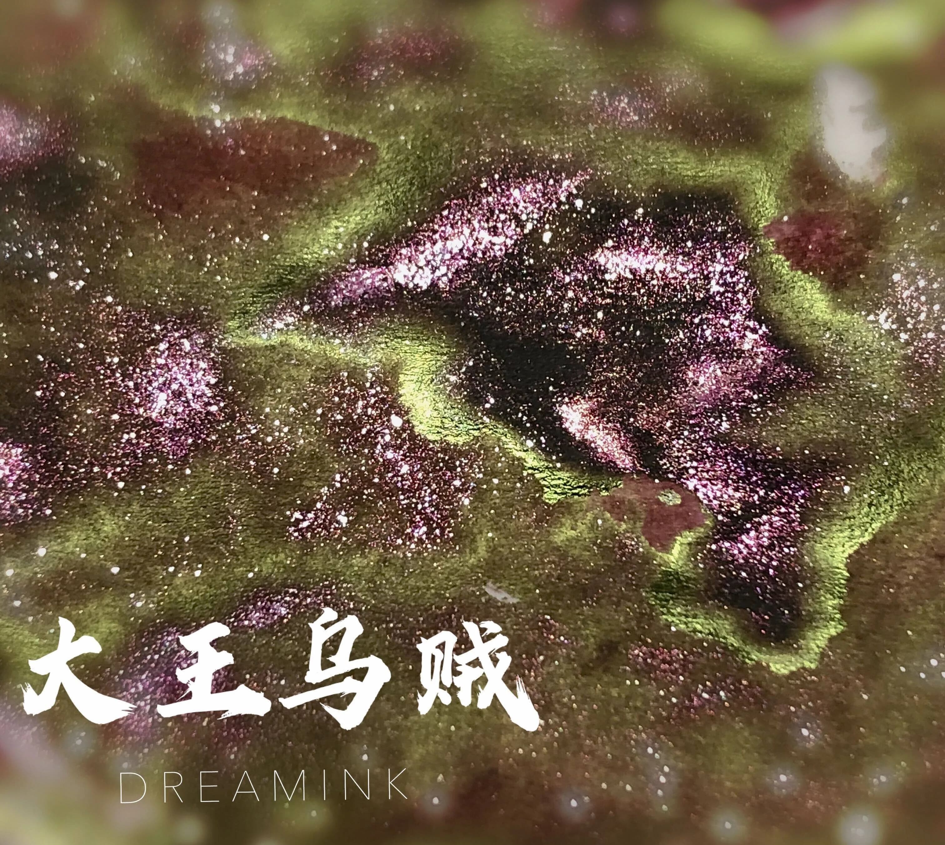 DREAMINK Dawang Yu Sheen Fountain Pen Ink 5/20ml Set Shimmer Calligraphy Drawing Writing Ink Office School Supplies Stationery