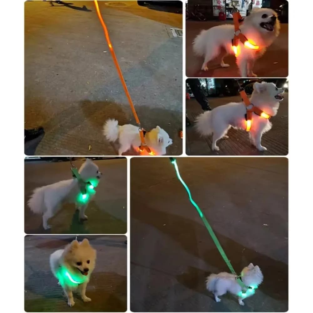 Pettorina per cani traspirante con LED luminosi, ricaricabile, regolabile, gilet luminoso lampeggiante morbido per la sicurezza degli animali domestici