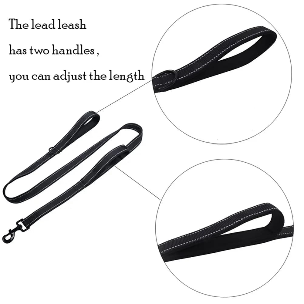 Reflective Dog Leash Heavy Duty Nylon Climbing Rope Double Handle Comfortable Weatherproof Lightweight for Night Walking Jogging