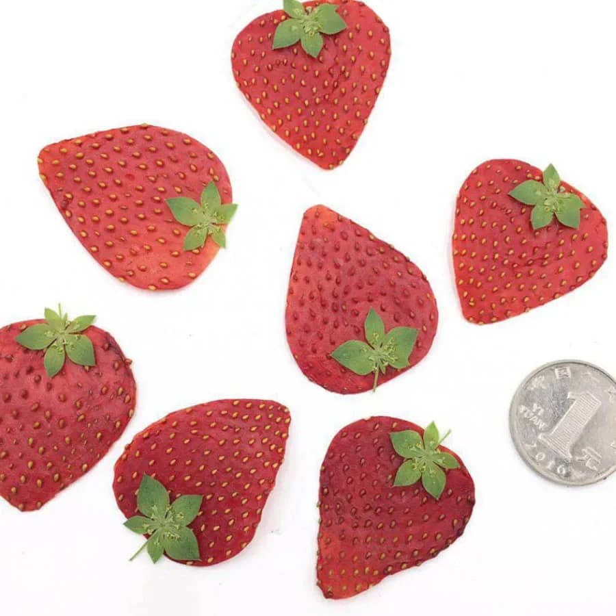 5 pezzi frutta pressata essiccata fette di buccia di fragola pianta erbario per gioielli cornice per foto cassa del telefono segnalibro fare fai da te