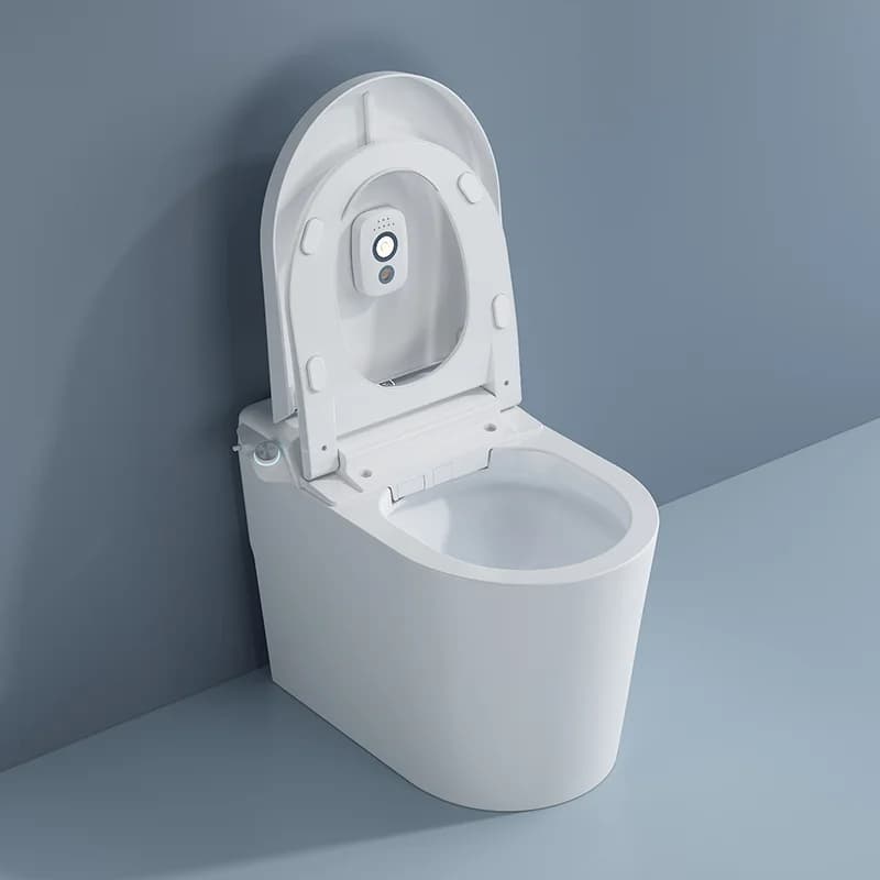 Automatic Wc Smart Toilet Remote Control Wc Bathroom Wall Smart Intelligent Toilet