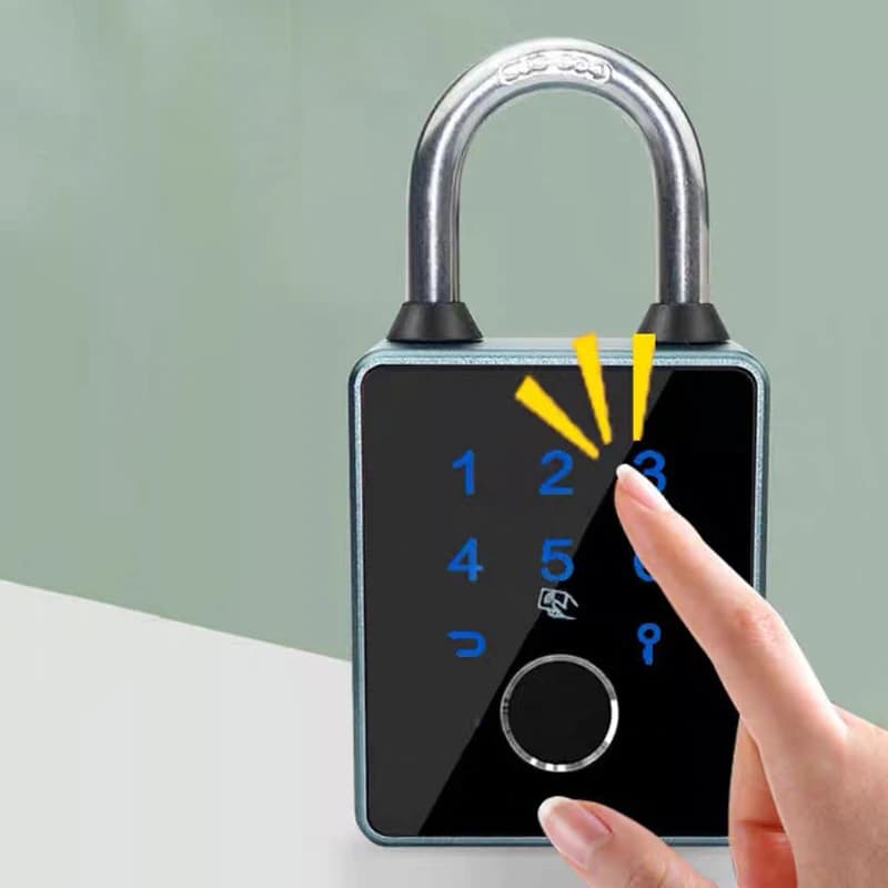 Porta intelligente per casa digitale con serratura per armadietto con impronte digitali con APP TTLock Serratura intelligente per porta impermeabile