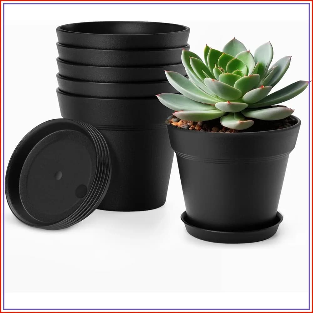 4 Inch Small Plant Pots 6 Pack with Saucers, Plastic Indoor Planters for Succulents, Cactus, Herbs, Black