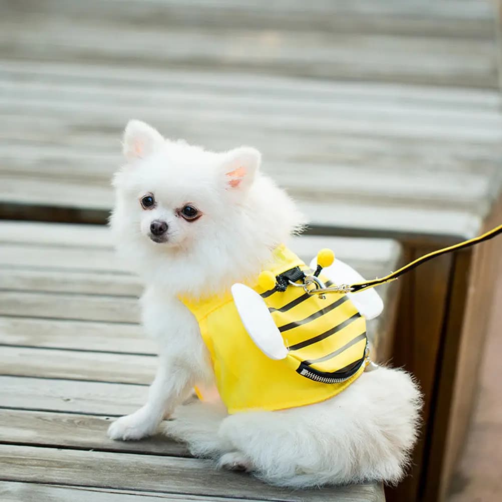 Set Guinzaglio e Pettorina per Cani, Design Pratico e Leggero, Facile da Trasportare, Accessori Durevoli per Animali Domestici, Pettorina per Cuccioli