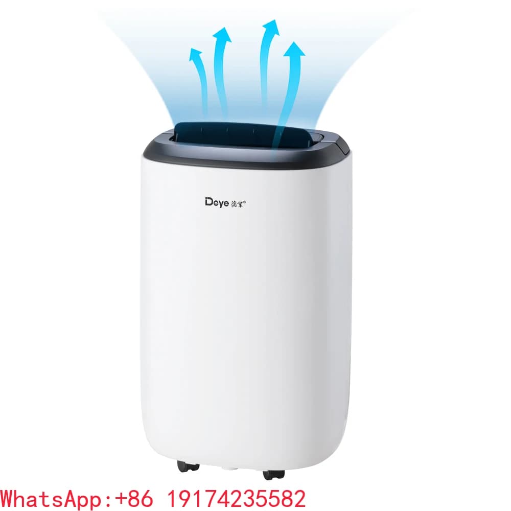 Deumidificatore domestico commerciale purificatore d'aria OEM ODM DYD-S12C R134a 12L per camera da letto