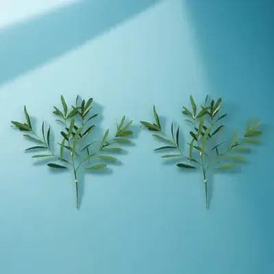 2 Pieces of Artificial Olive Rams Highly Realistic and Lightweight for Fa-da-Te Wedding Centerpieces, Home Decorations and Desk Plants