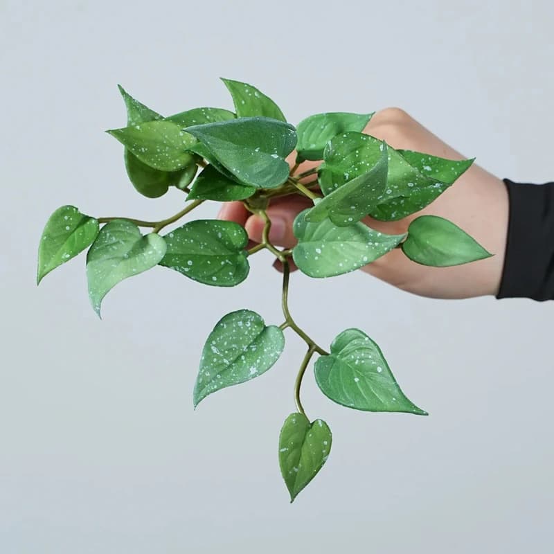 10 pieces of copper artificial money grass plastic plant fat bouquet decoration holiday holiday simulation clover green plants