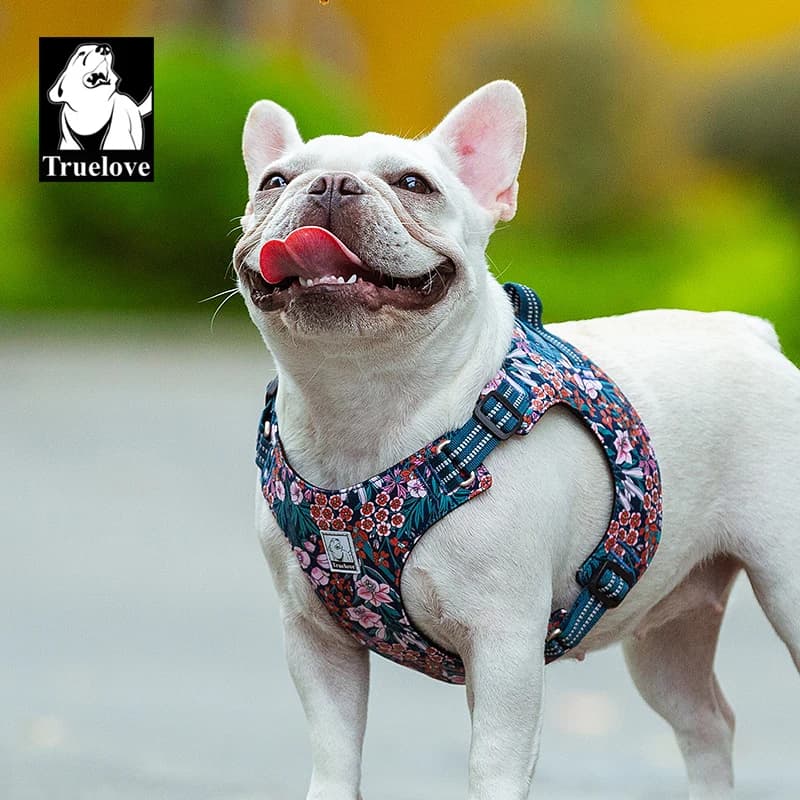 Truelove TLH1912 Printed Cotton Vest-Style Dog Harness for Daily Walking
