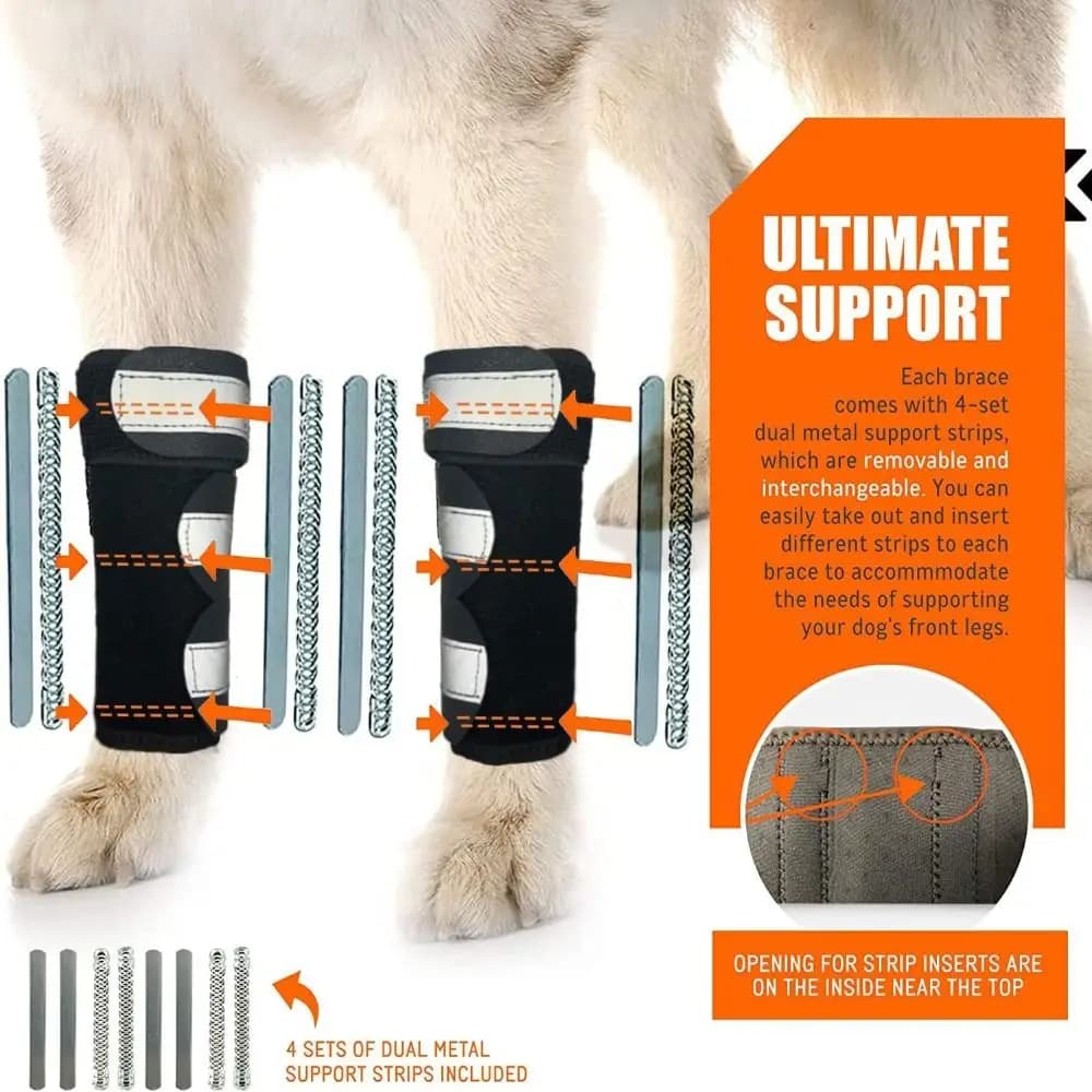 Supporto per Zampe Anteriori per Cani in PC Leggero con Strisce Riflettenti, Cinghie Regolabili, Supporto Articolare Traspirante e Antiscivolo