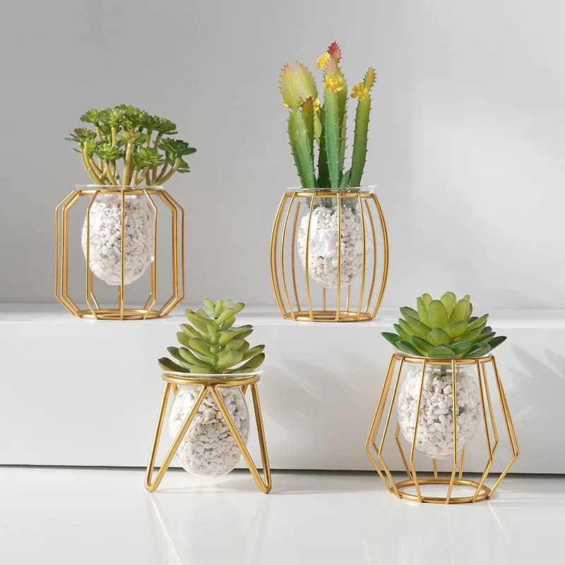 Home creative hydroponic vase ornaments office desktop green radish water plant container table decorations