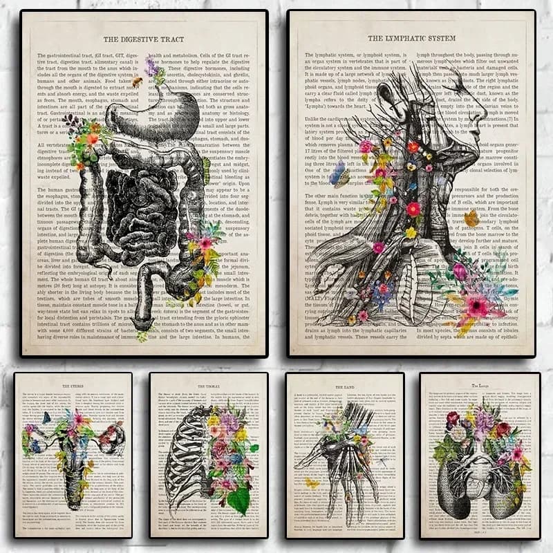 Anatomy Butterflies Aesthetics 80s Retro Human Body Poster for Hospital Room Living Canvas Print Art Home Wall Decor Wall Gift
