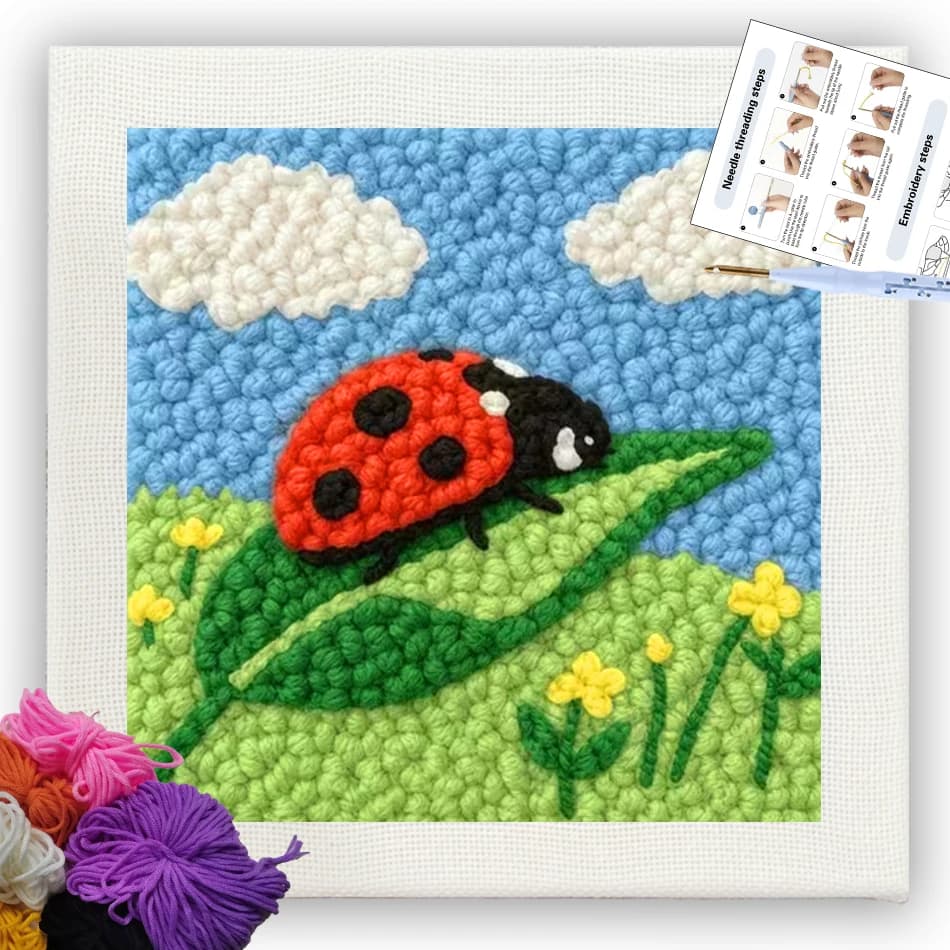 CHENISTORY punch embroidery needle Yarn ladybug Cross stitch kits Artwork Tufting for needlework and creativity 25x25cm Crafts