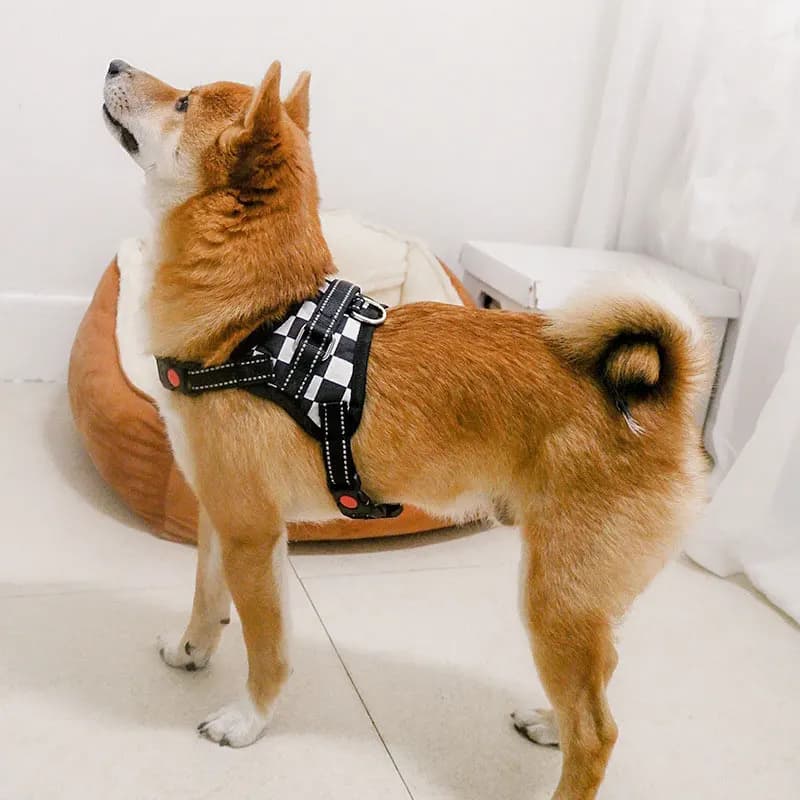 New Dog Harness Large Dog Pet Dog Saddle Harness antideflagrante Punch Teddy Ke fondo capelli samoied Dog Supplies